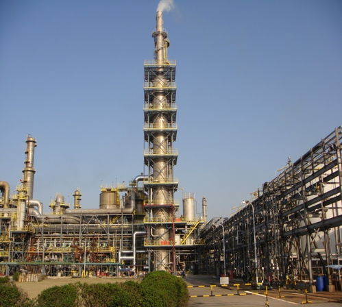 走近零碳 上?；^(qū)調(diào)研 企業(yè)減排看效益,園區(qū)須加強(qiáng)統(tǒng)籌